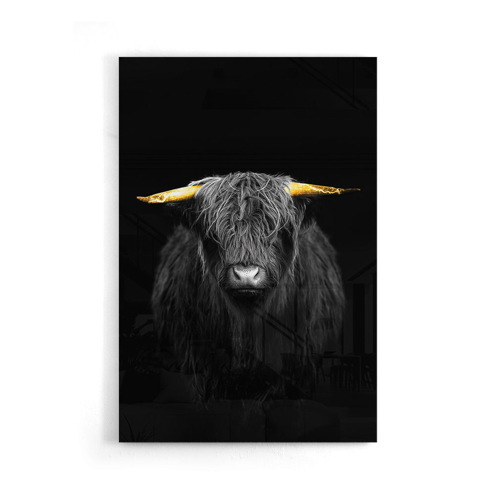Walljar acrylglas schilderij - Gold Ox Horns Acrylglas schilderij - 80 x 120 cm