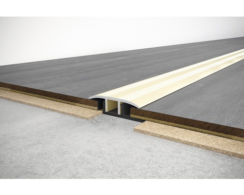 SKANDOR overgangsprofiel champagne geanodiseerd incl. cliprail 11x34x900 mm