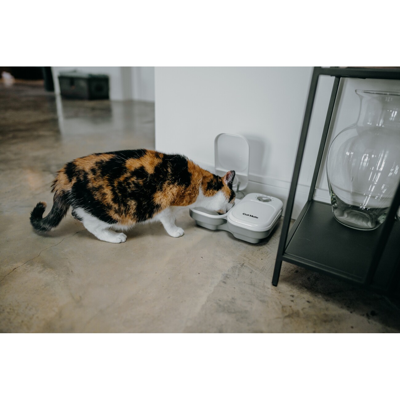 Cat Mate Futterautomat mit Timer für zwei Mahlzeiten (C200)