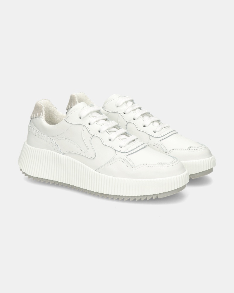 Palpa Lage sneakers  - wit