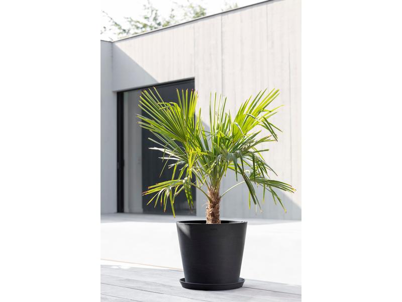 Ecopots Pflanzentopf Amsterdam 40, Dunkelgrau Robuster und langlebiger Blumentopf