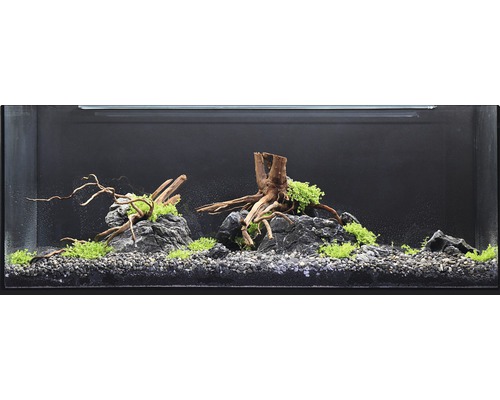Aquarium waterplantenpakket XL 