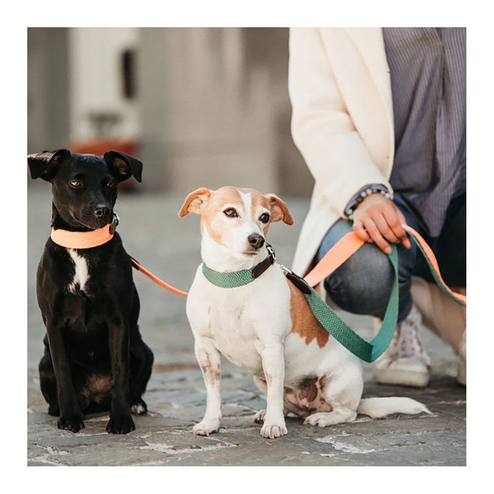Kentucky JACQUARD - Laisse pour chien orange fluo