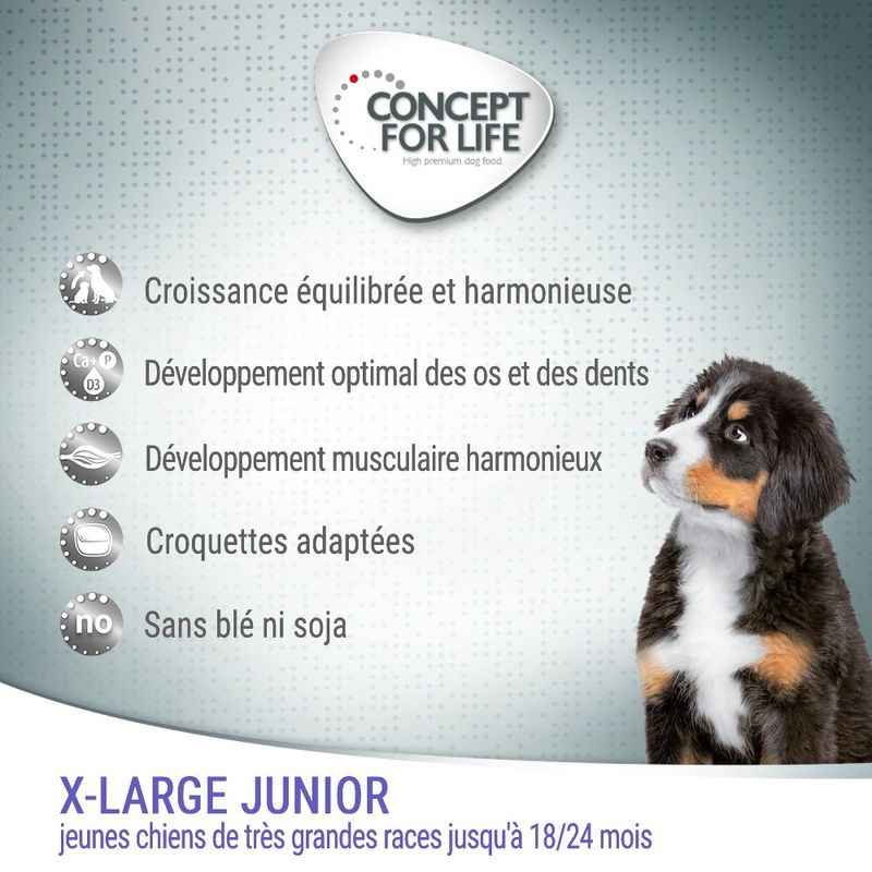 Concept for Life X-Large Junior