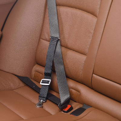Allsafe S TÜV Autosicherheitsgurt
