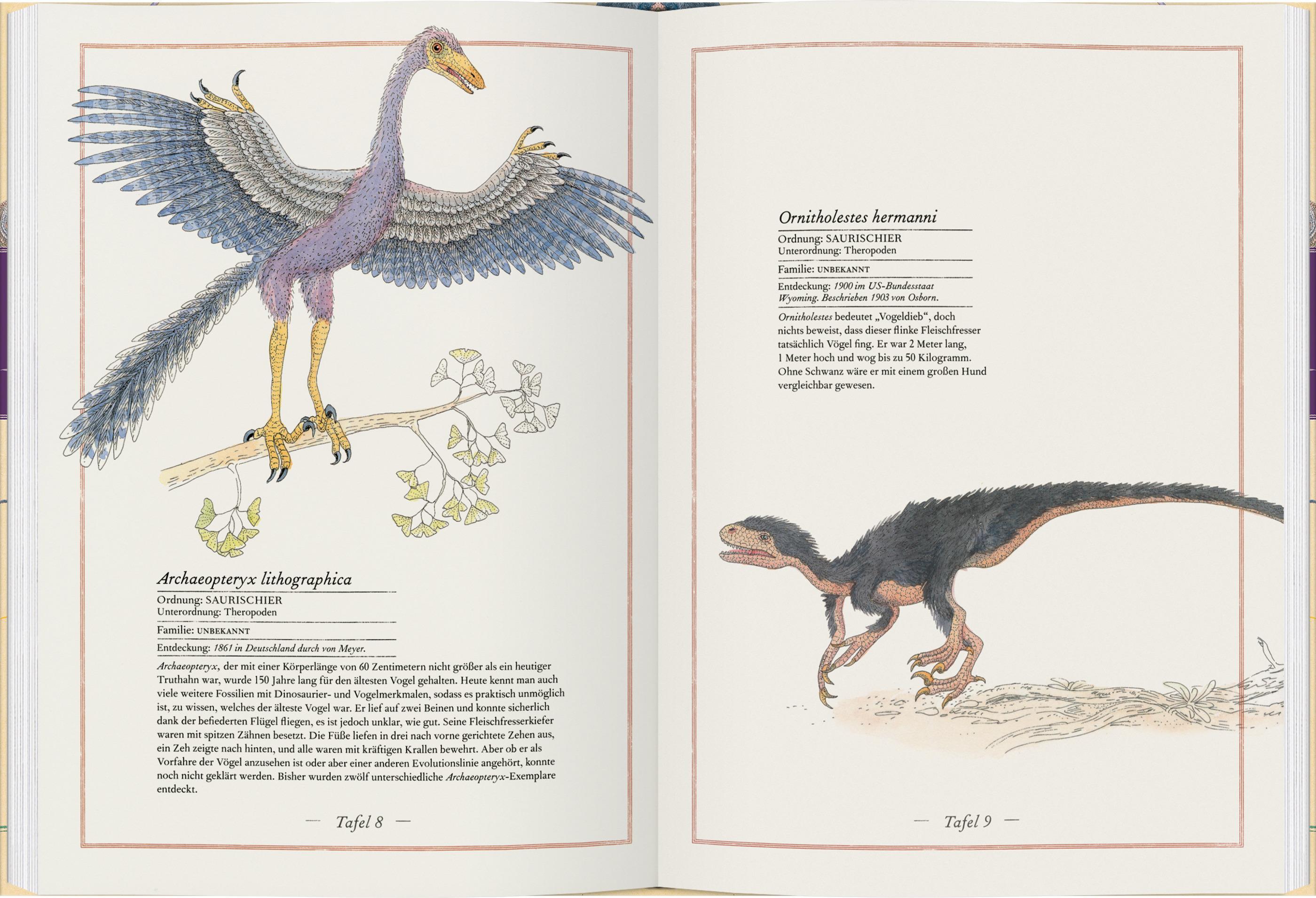 Triceratops, T-Rex, Supersaurus
