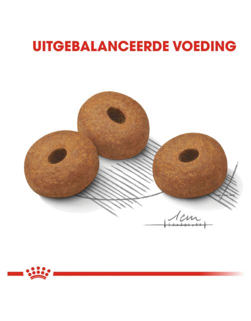Royal Canin Light Weight Care Maxi - Hondenvoer