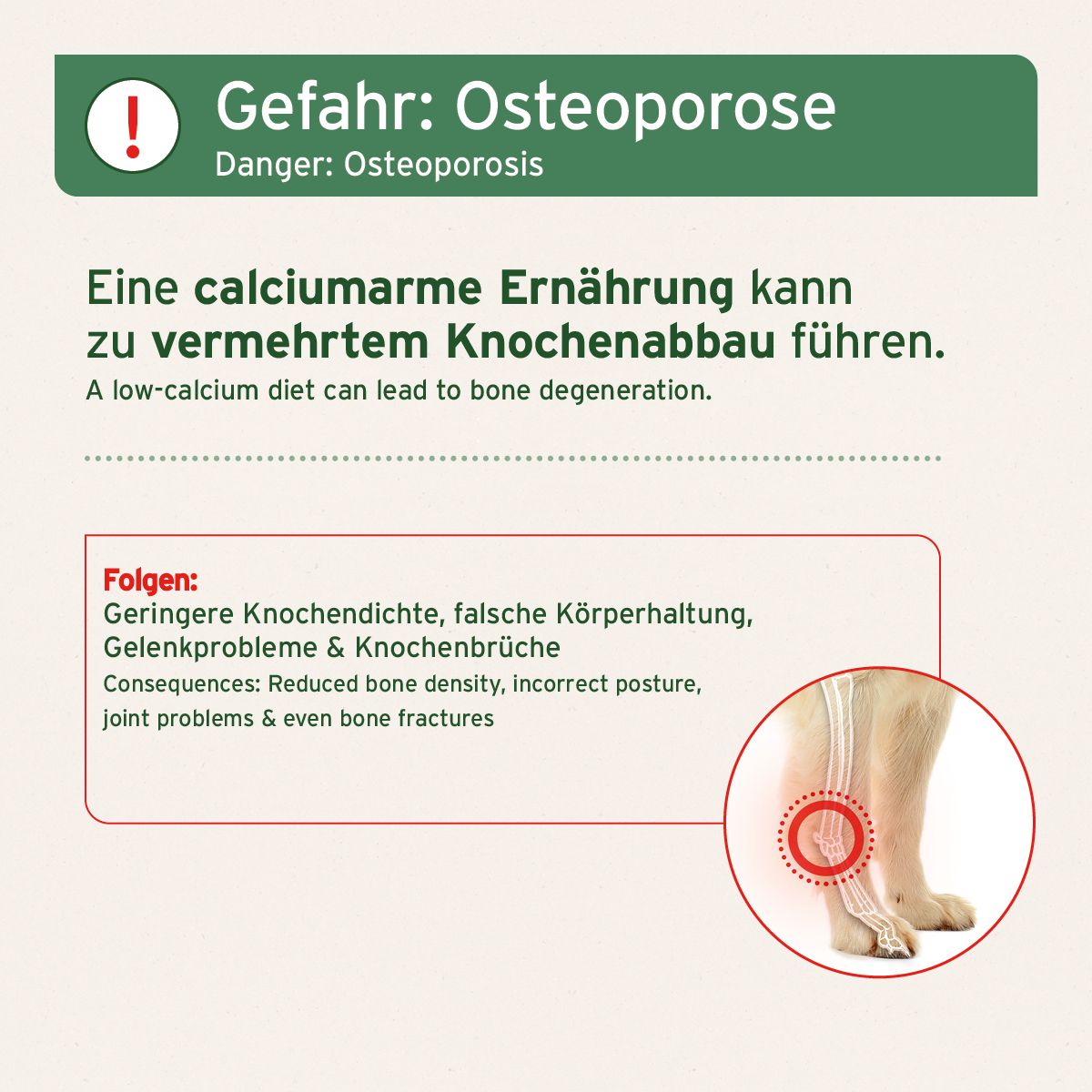 AniForte BARF-Line Gemahlene Knochen vom Pferd