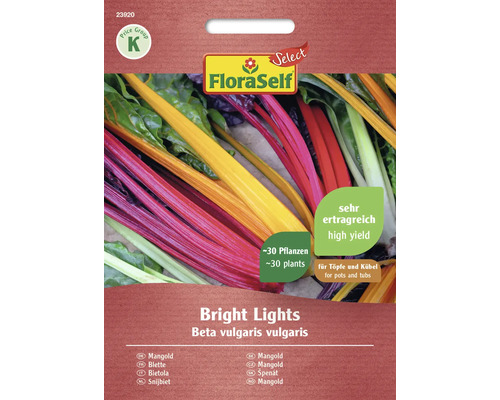 Snijbiet Bright Lights FloraSelf Select Open-pollinated Seed Groentezaden