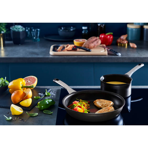 Tefal Excellence Koekenpan - 24 cm
