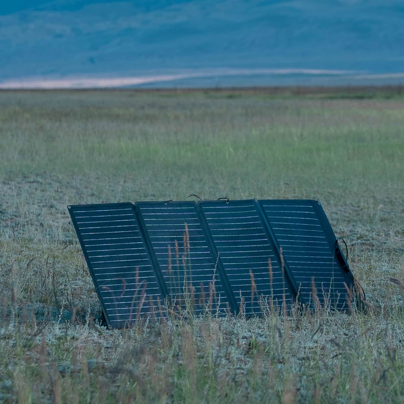 EcoFlow 160 W Tragbares Solarpanel