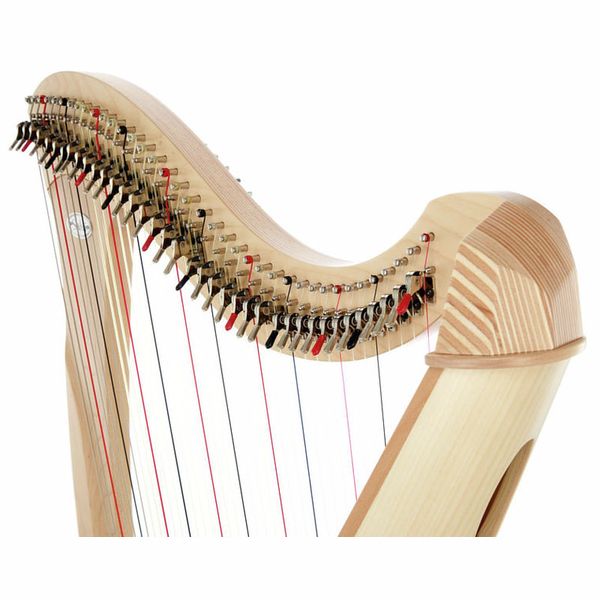 Salvi Gaia Lever Harp 38 Str. NM