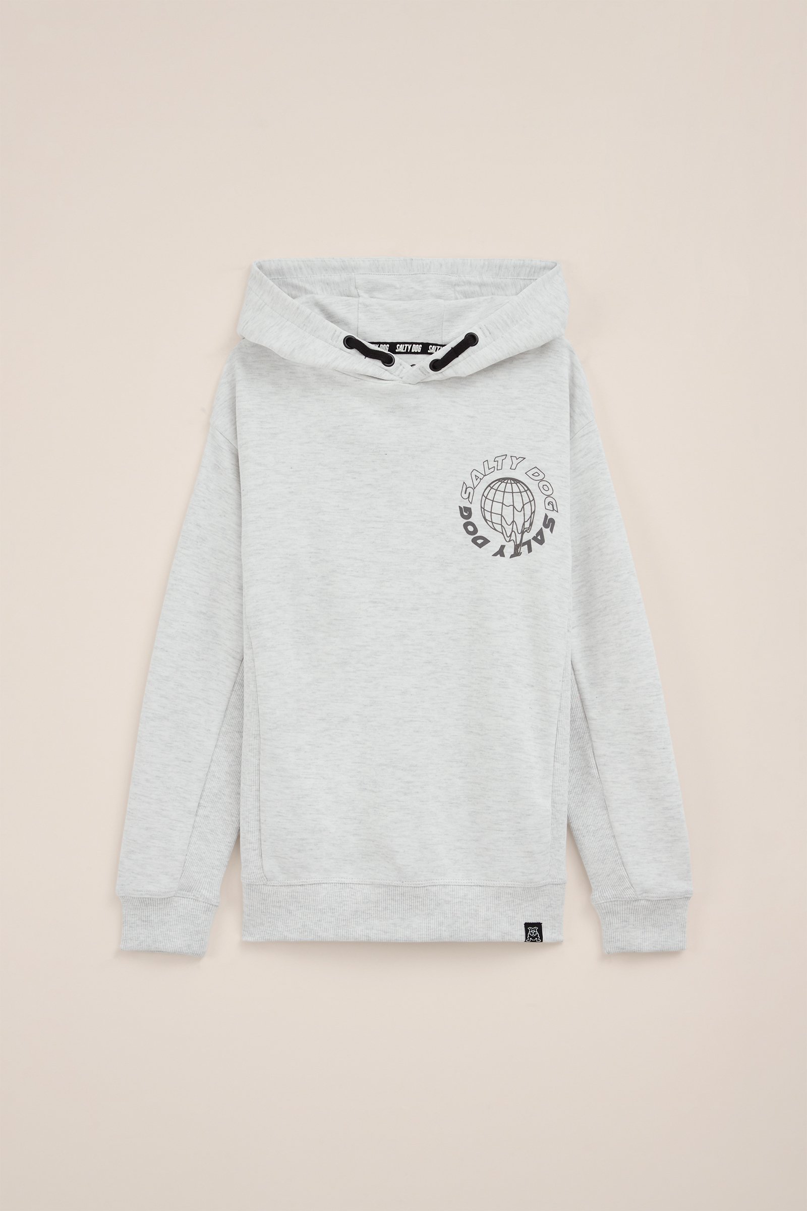 Jongens hoodie met opdruk Salty Dog Lichtgrijs