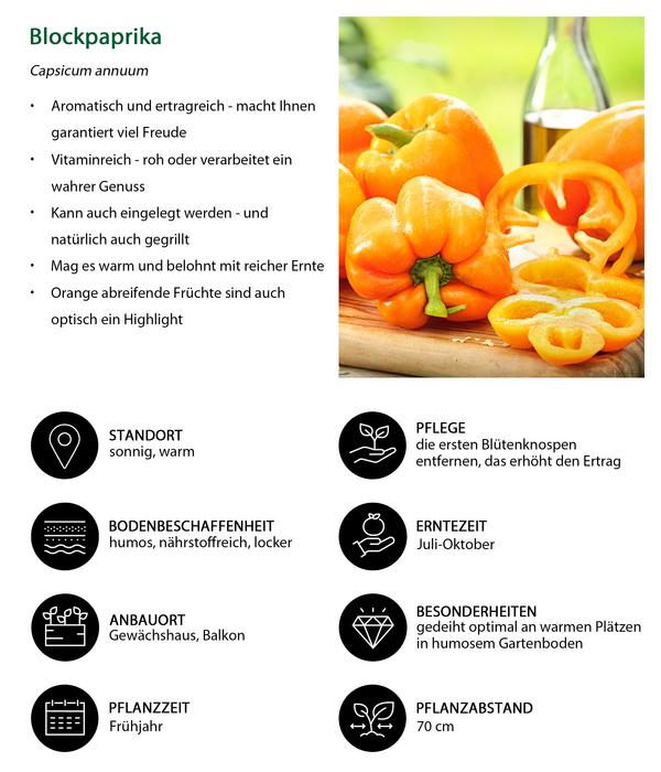 Blockpaprika, orange