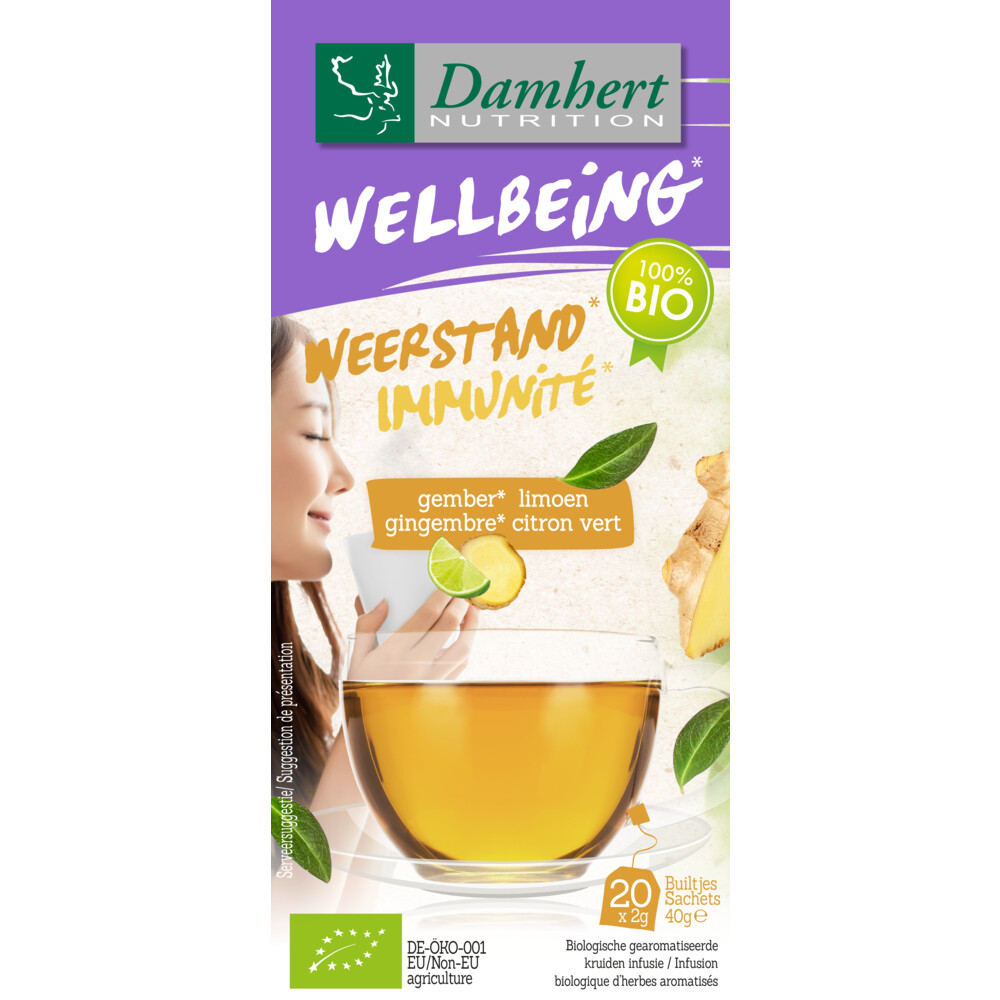 3x Damhert Wellbeing Thee Weerstand Gember Limoen20 stuks