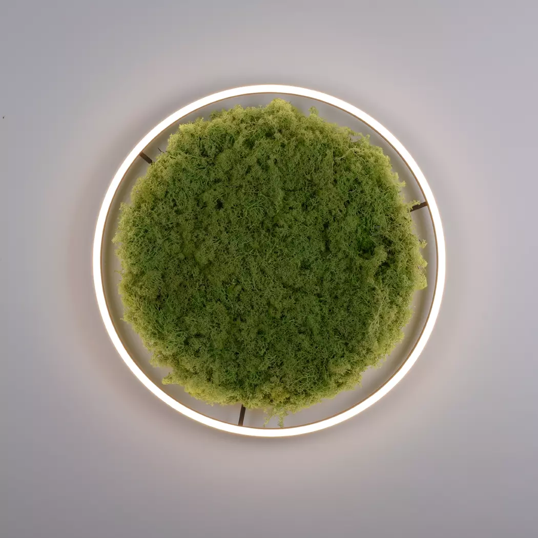 LED-Deckenleuchte Green Ritu