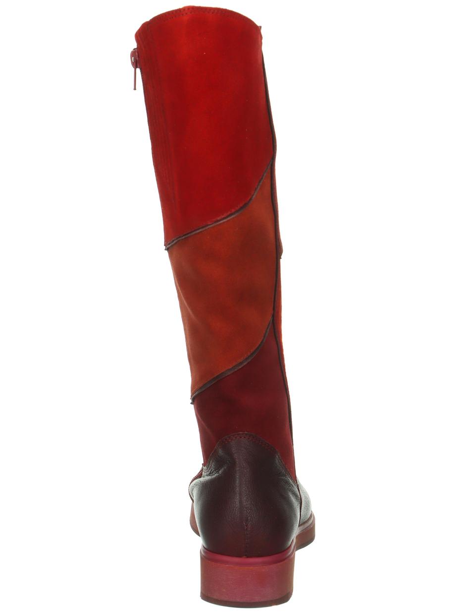 Stiefel COGITA