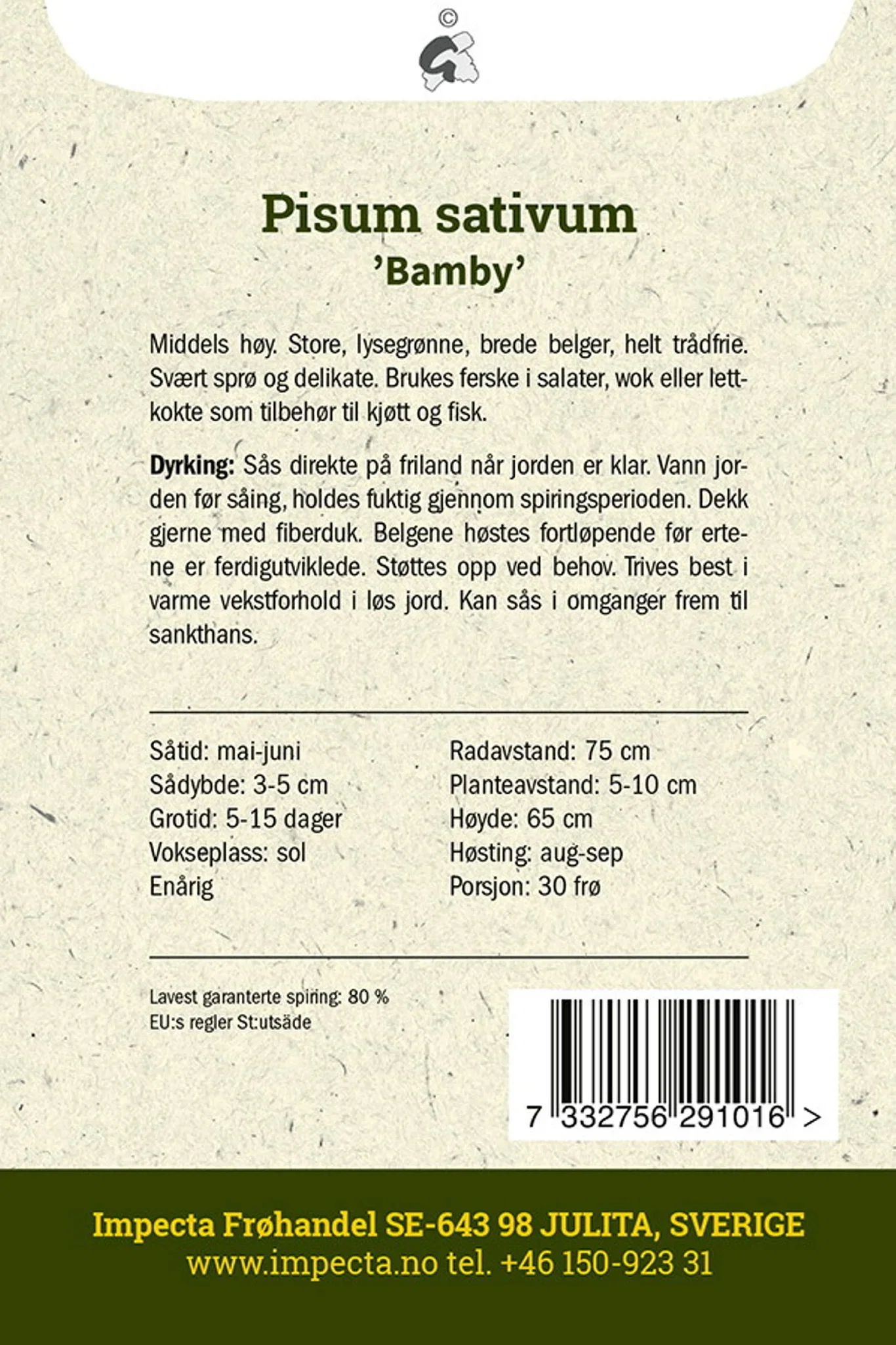 Pisum sativum 'Bamby' Sukkerert 'Bamby'
