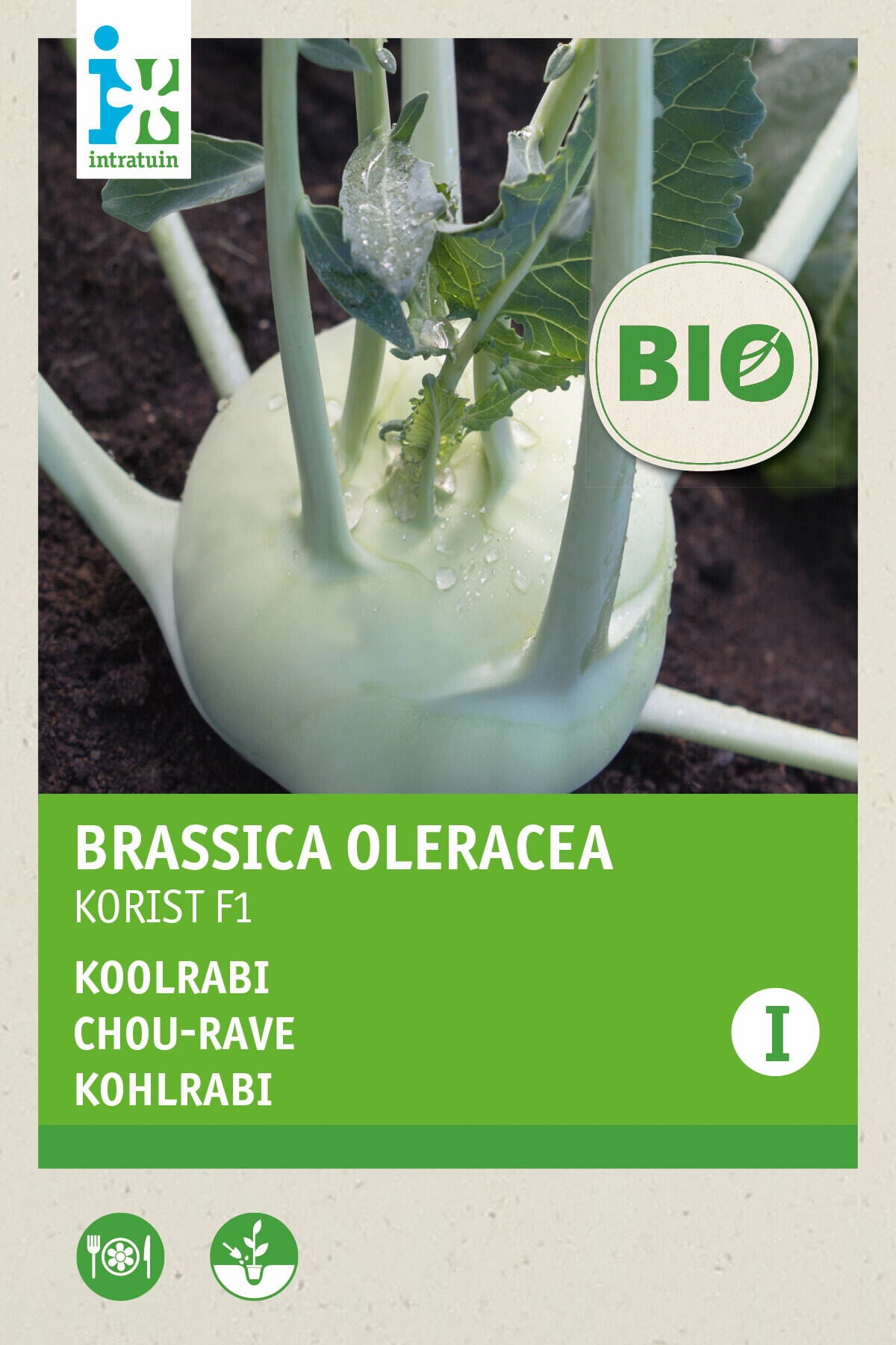 Intratuin Biologisch groentezaad Koolrabi (Brassica oleracea 'Korist')