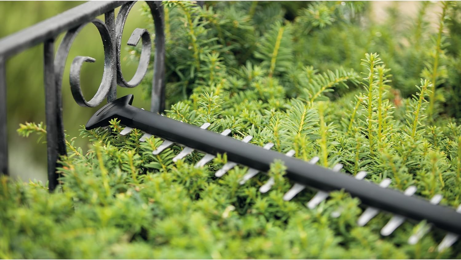 Bosch Heckenschere UniversalHedgeCut 50 (480 Watt, Messerlänge: 50 cm, für mittelgroße Hecken, Messerabstand: 26 mm, im Karton)