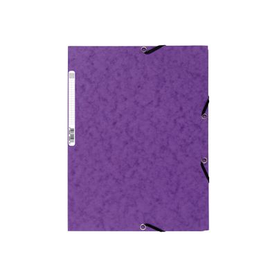 Exacompta Nature Future - 10 Chemises à 3 rabats - A4 - pour 250 feuilles - couleurs vives assorties