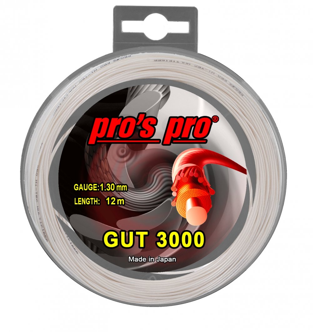 Gut 3000 12 Meter