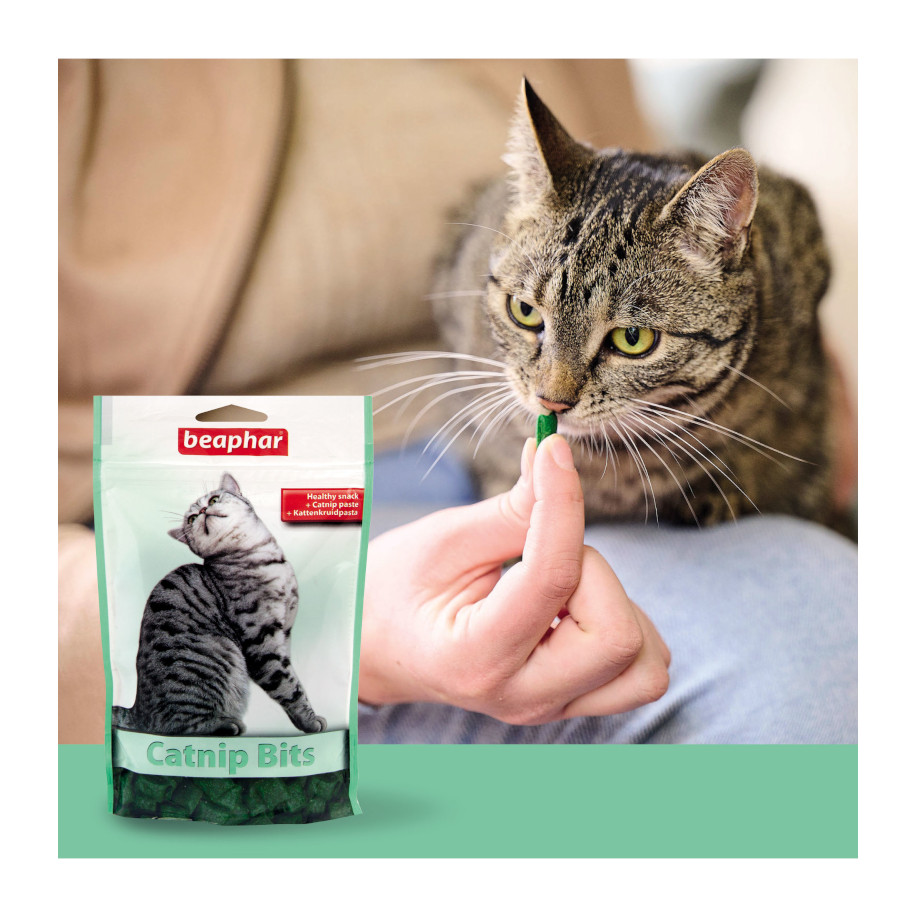 Petiscos de erva-de-gato Beaphar para gatos