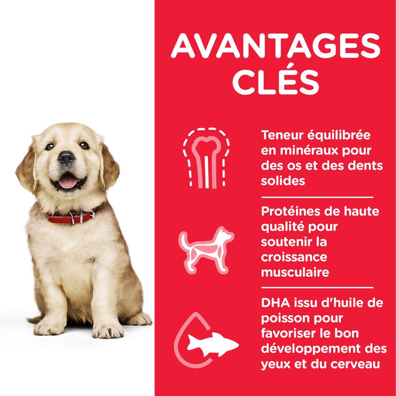 Hill's Science Plan Puppy <1 Large poulet pour chiot sur bitiba.fr