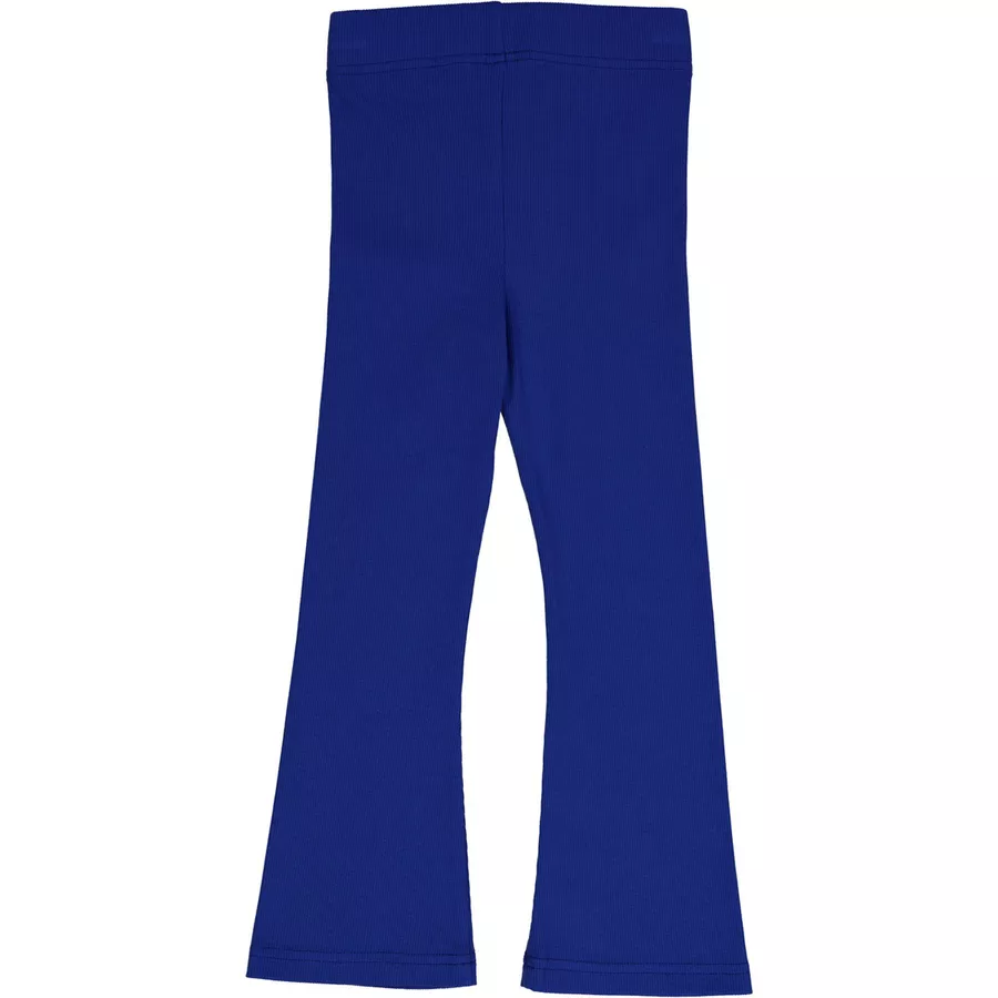 Fred's World Leggings Surf