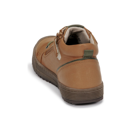 Aster - BARNA - Camel