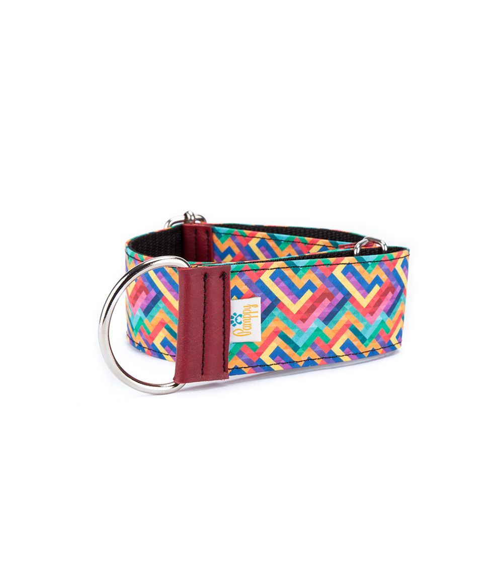 Coleira ajustável multicolorida para cães Pamppy Galgo Speedy Pixel