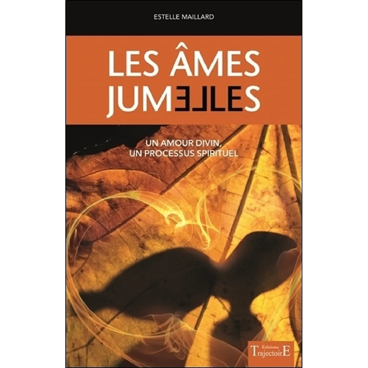 Les âmes jumelles : un amour divin, un processus spirituel · Occasion