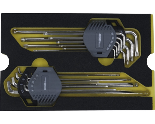 Inzetstuk voor stiftsleutelsets, Moflex module M, nr. 6270