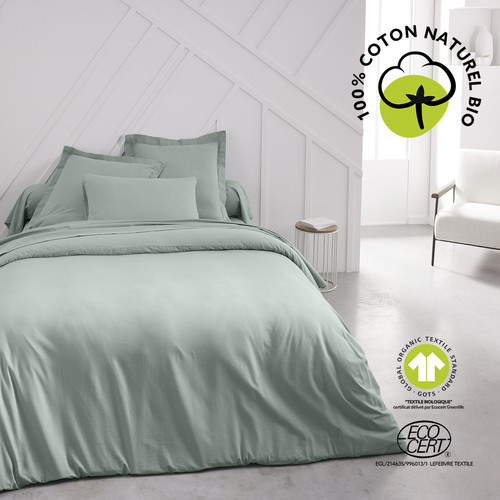 Today - ORGANIC CELADON - Celadon