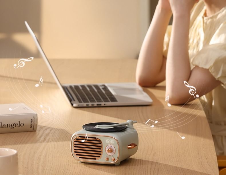 HOMTEC - USB oplaadbare Bluetooth-luidspreker met karaokemicrofoon