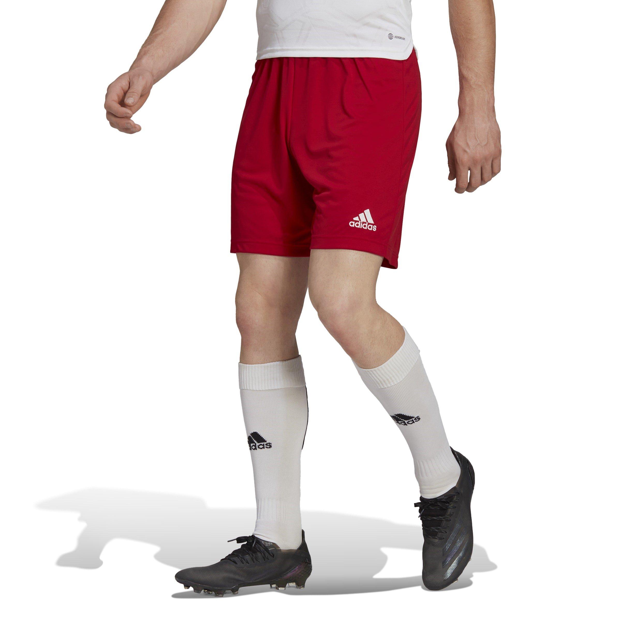 adidas Entrada 22 Shorts Mens