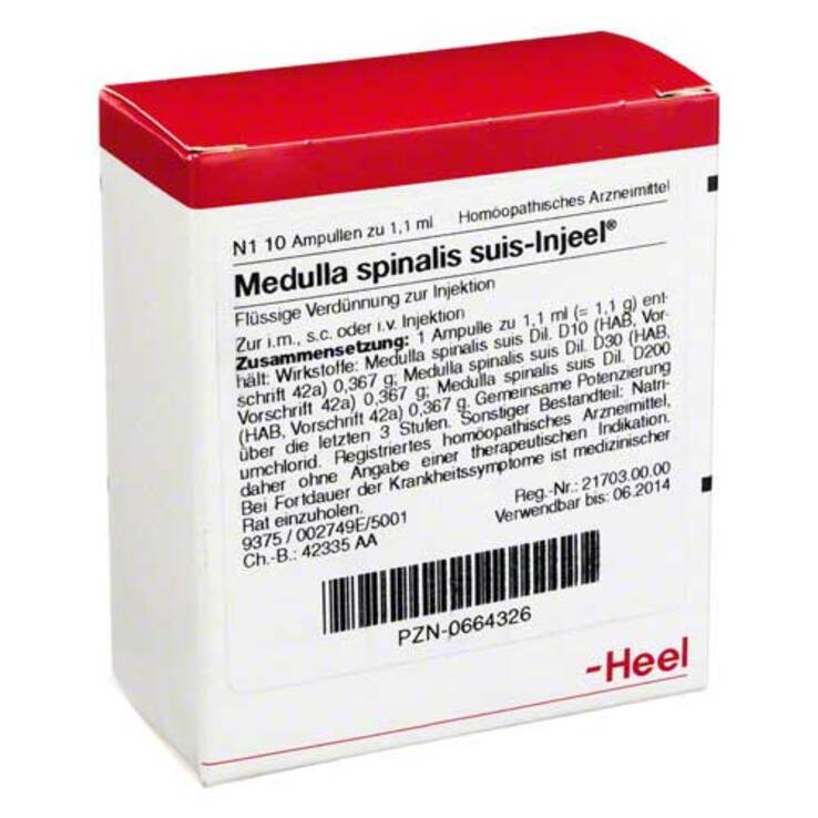 Medulla Spinalis suis Injeel Ampullen, 10 St