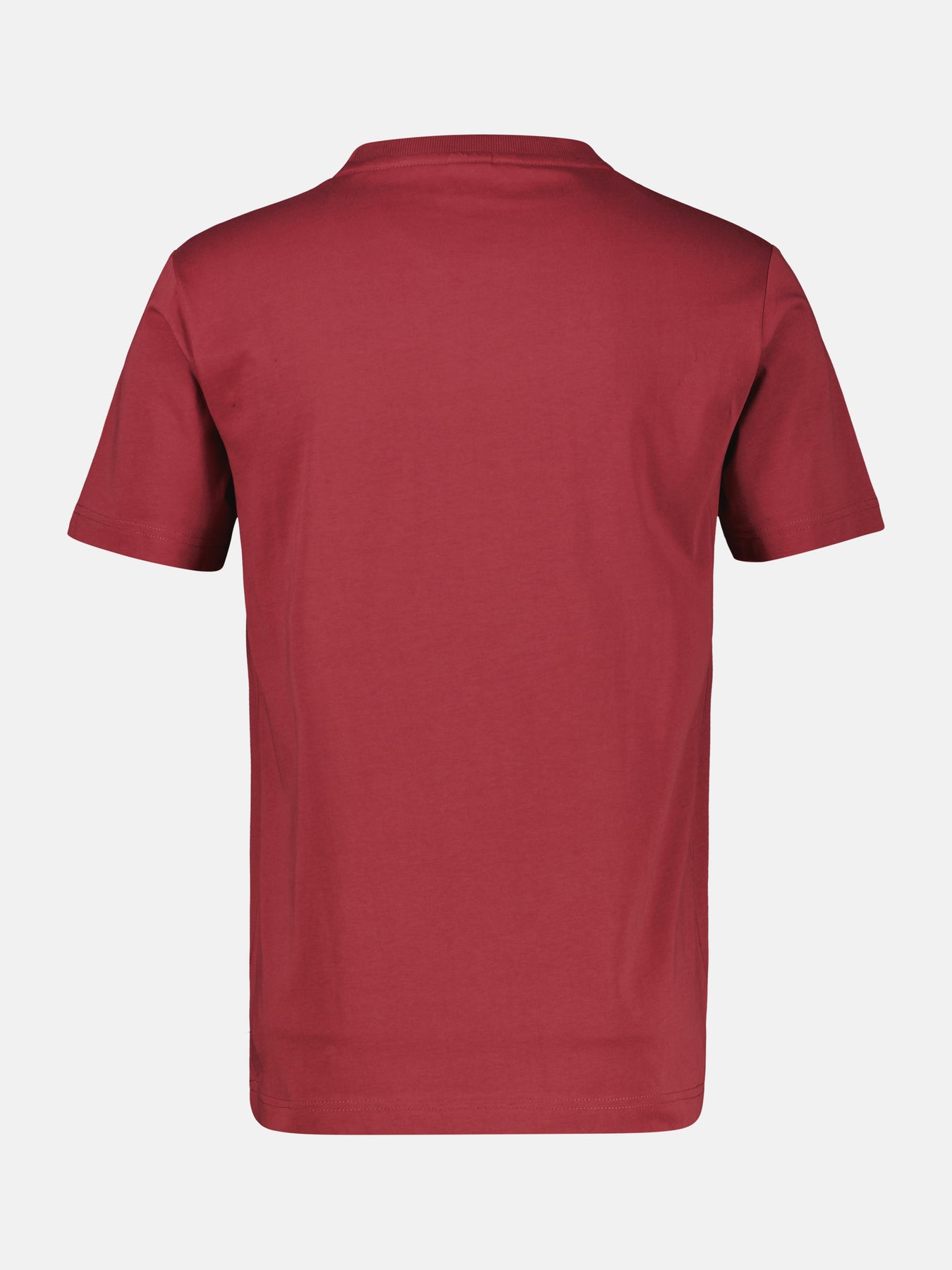 Herren T-Shirt mit Outdoorprint
