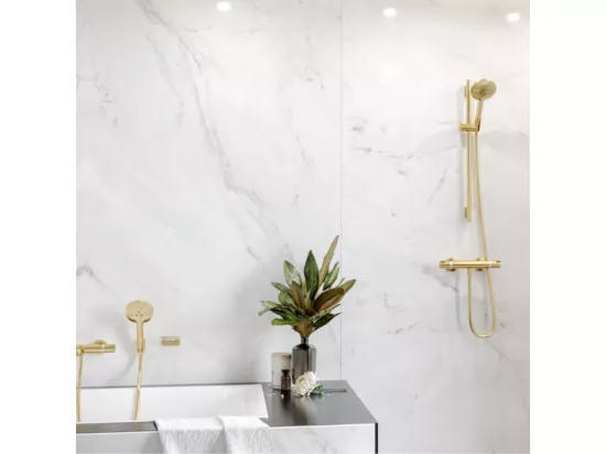 Pommeau de douche HANSGROHE Raindance Select S EcoSmart 120 3 jets aspect doré poli + flexible de douche 1,60 m HANSGROHE Isiflex aspect doré poli