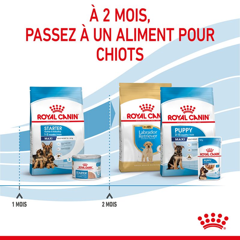 Royal Canin Maxi Starter Mother & Babydog à prix discount sur bitiba.fr