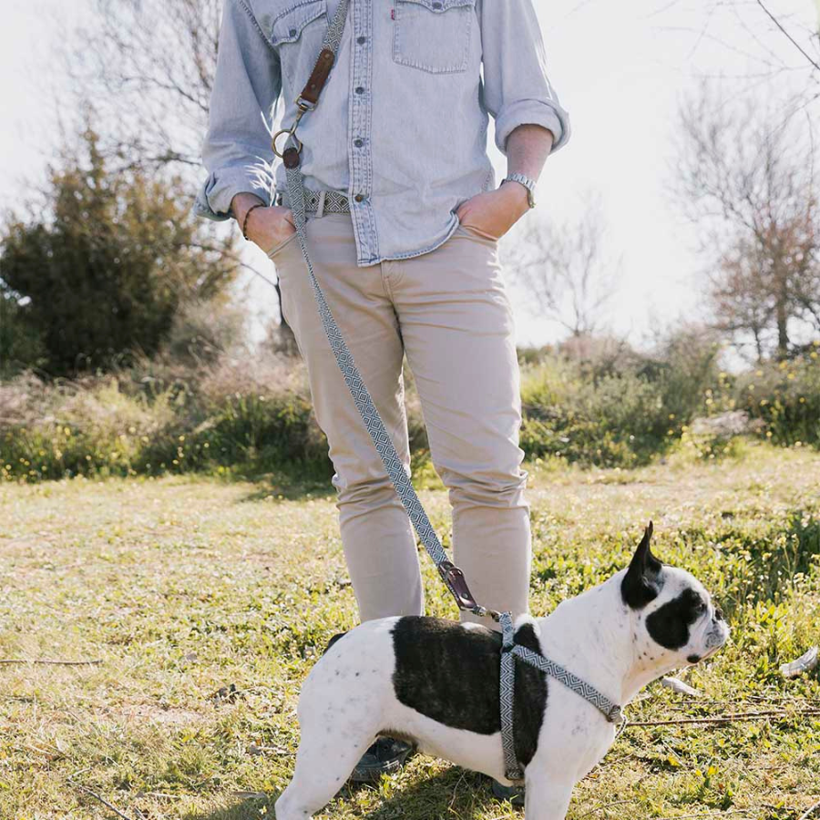 Guia para cães Dalton feita à mão pela Barking Gaucho