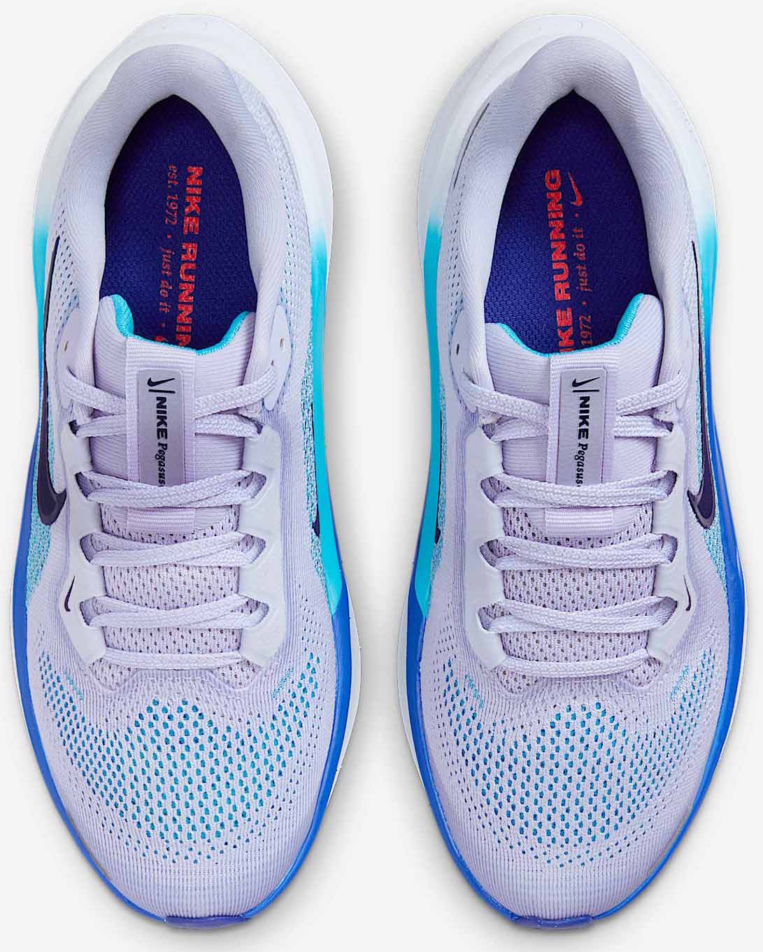Pegasus 41 GS Junior 004/Ghost/Blue Void/Football Grey