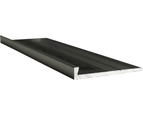 Profielstrip eindkap Slate-Lite F-Line staal 2,5 m