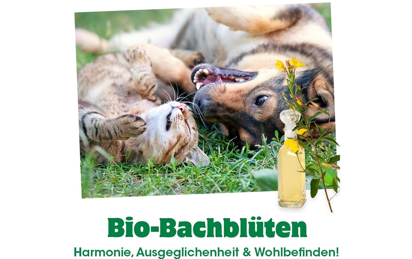 Hunde-Nahrungsergänzung CBD Öl, 20 mlNahrungsergänzung für Hunde & Pferde