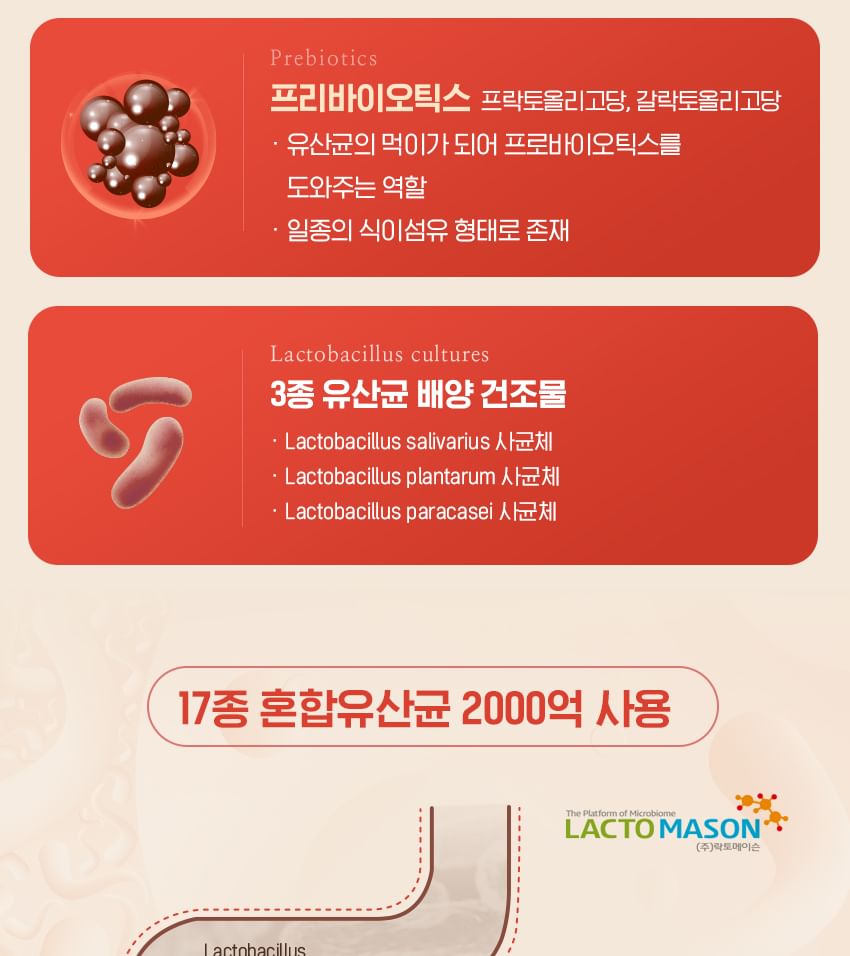 Vitaminedorp - Probiotica Zink