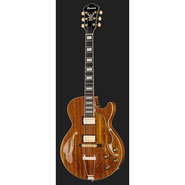 Ibanez AG95K-NT