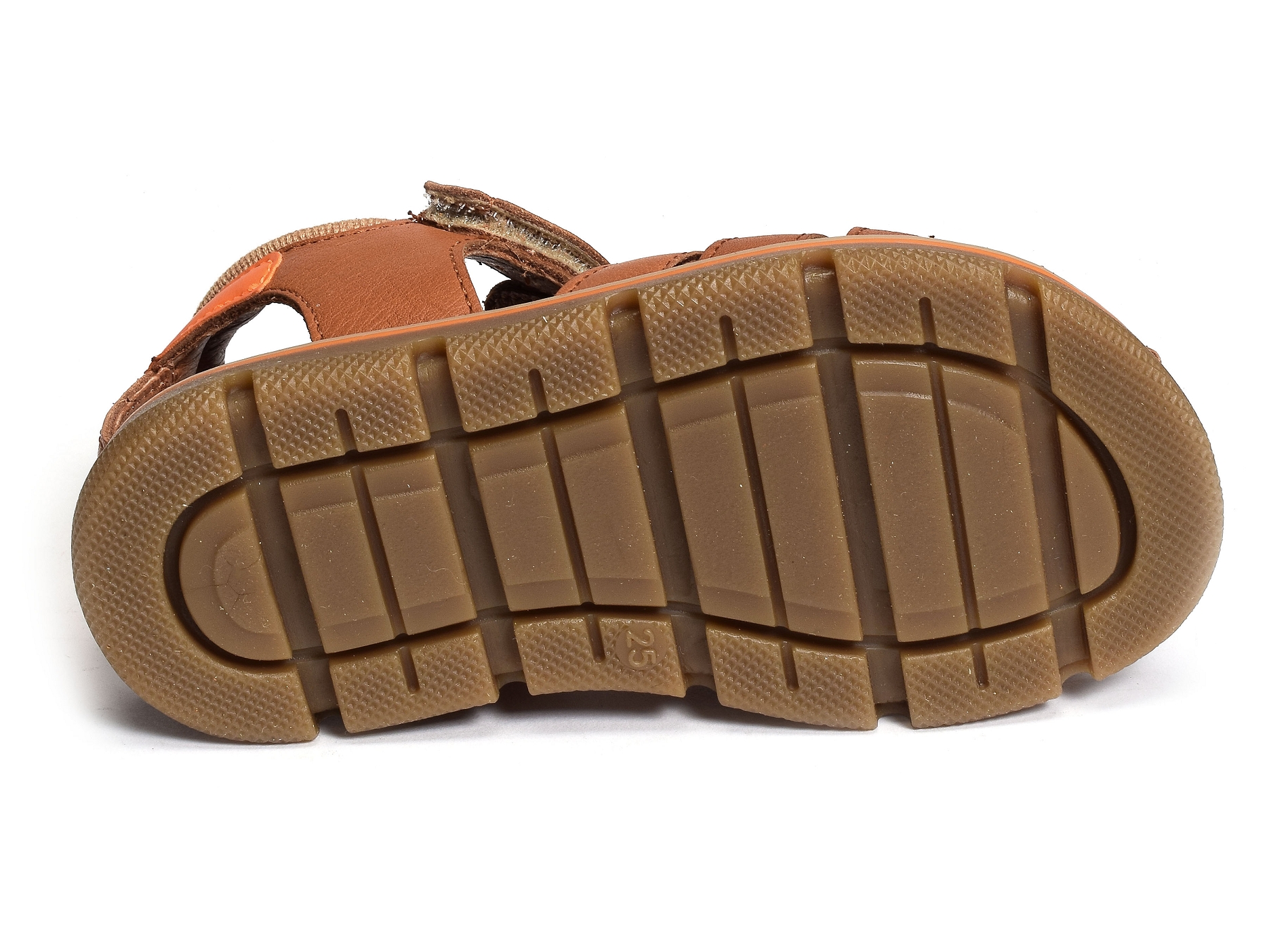 Kiko camel
