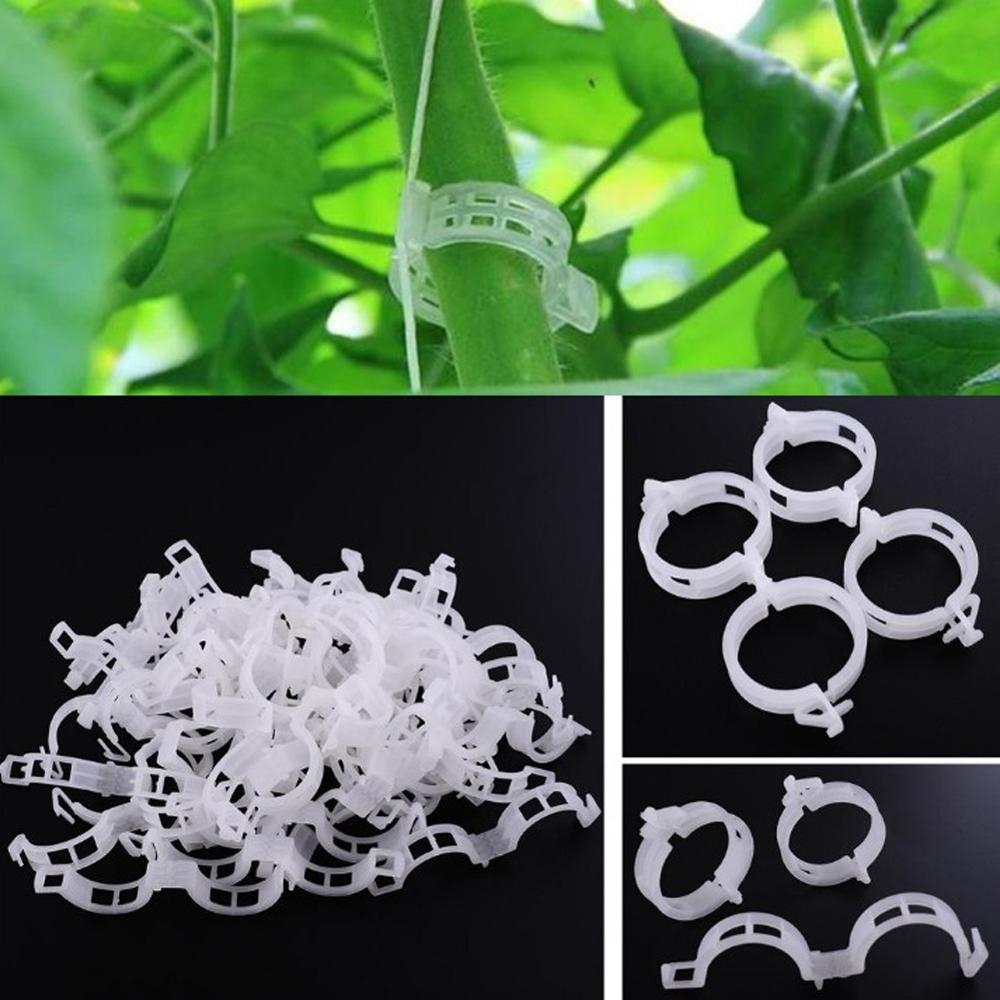 (50er Set) Ø23mm Garten Pflanzenklammern Pflanzenclips Rankhilfe - Transparent