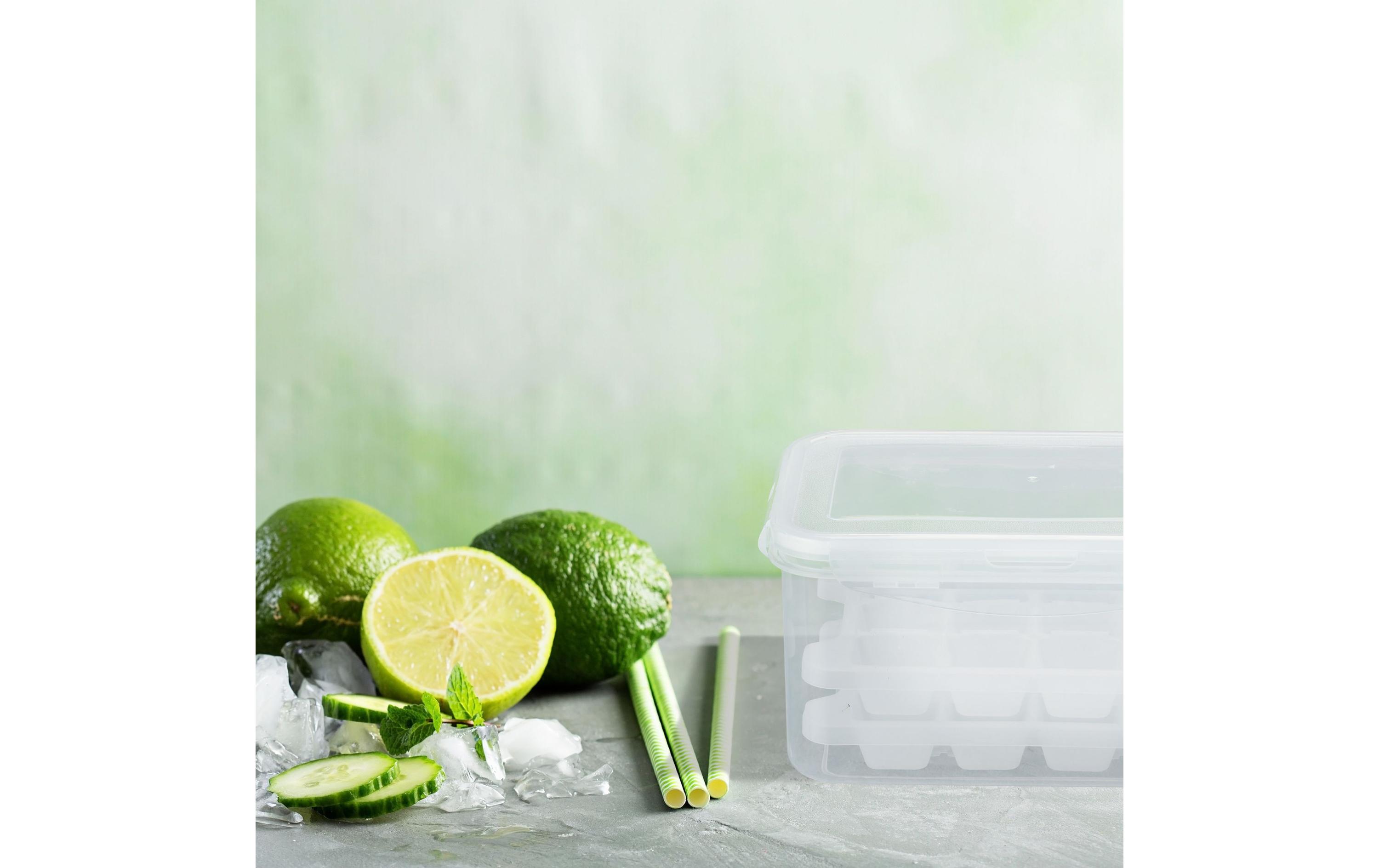 Eiswürfelform Transparent/WeissEiswürfelform Box mit 4 Formen