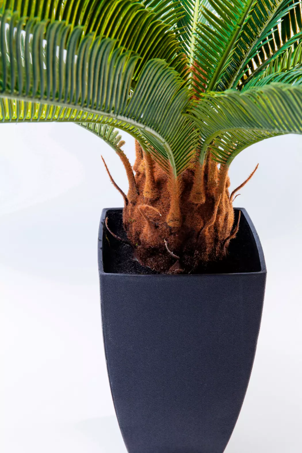 Kunstpflanze Cycas Tree 61200